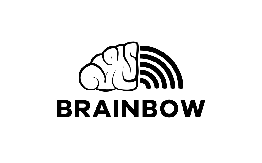 Brainbow brand and identity composition